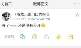 吃瓜爆料微信号大全图片,吃瓜爆料微信号大全，带你走进神秘网络世界